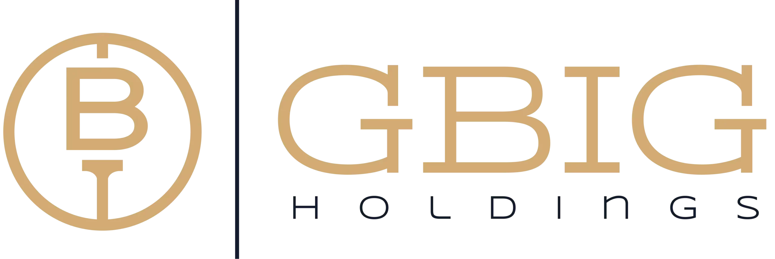 лого GBIG HOLDINGS